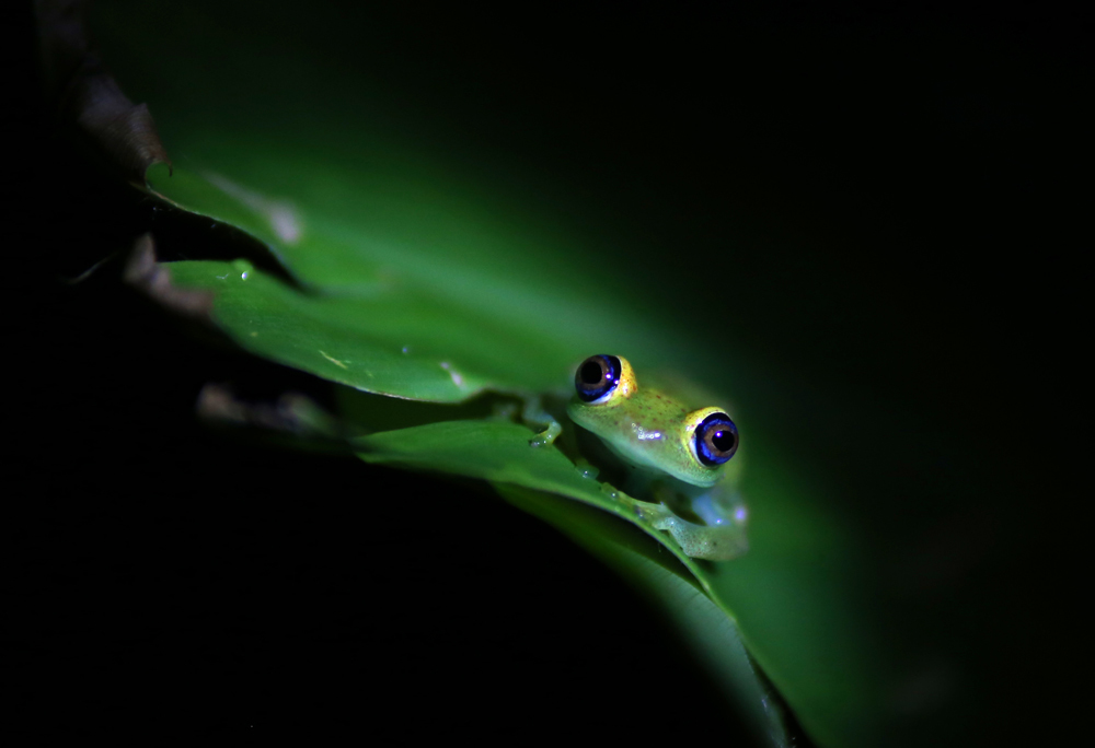 the-best-architecture-of-2015 (9)